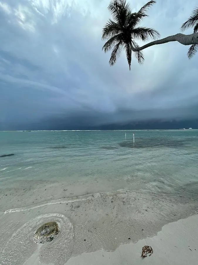 Boca Chica Luxury Apartment